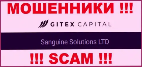Юридическое лицо GitexCapital - это Sanguine Solutions LTD, такую информацию разместили аферисты у себя на веб-ресурсе