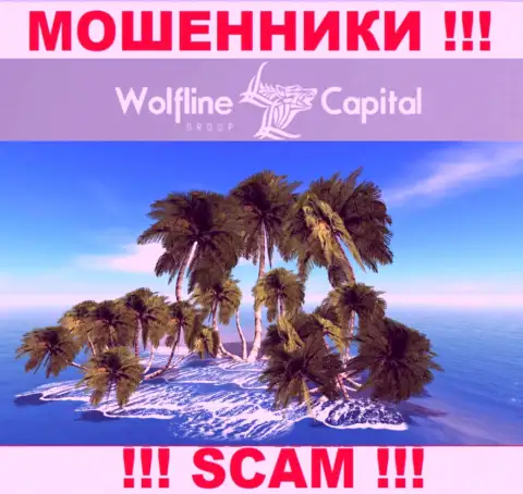 Обманщики Wolfline Capital не предоставляют достоверную инфу касательно своей юрисдикции