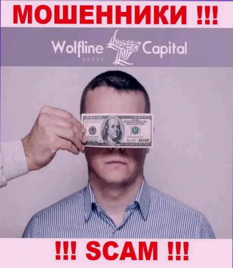 Деятельность Wolfline Capital НЕЛЕГАЛЬНА, ни регулятора, ни лицензии на право деятельности НЕТ