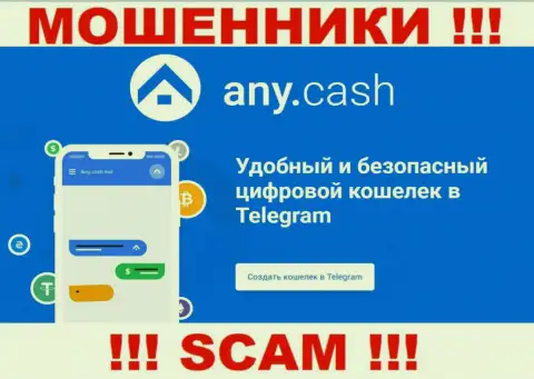 Any Cash - это лохотронщики, их деятельность - Цифровой кошелёк, направлена на слив денежных вложений клиентов