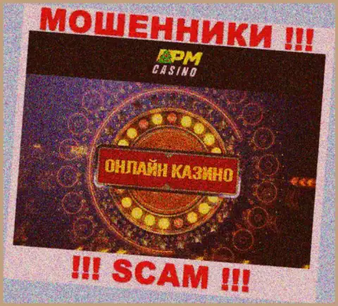 Сфера деятельности мошенников PM-Casinos Net - это Казино, однако знайте это обман !