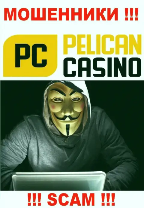 Люди управляющие компанией PelicanCasino Games решили о себе не рассказывать