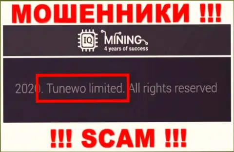 Аферисты IQ Mining утверждают, что именно Tunewo Limited руководит их разводняком