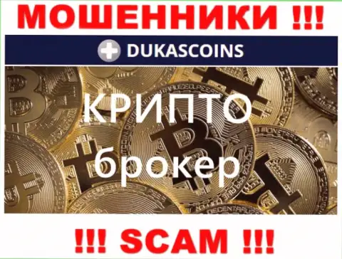 Тип деятельности интернет мошенников ДукасКоин - это Crypto trading, однако имейте ввиду это разводилово !!!