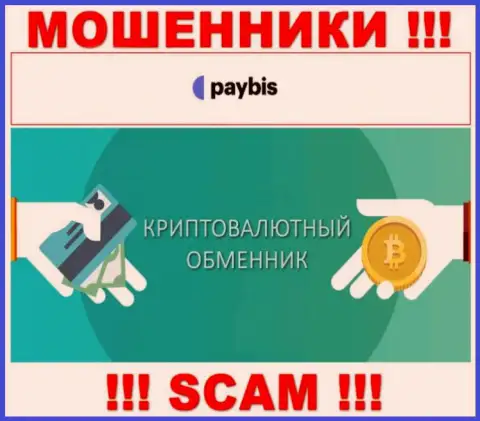 Крипто обменник это сфера деятельности противоправно действующей компании PayBis