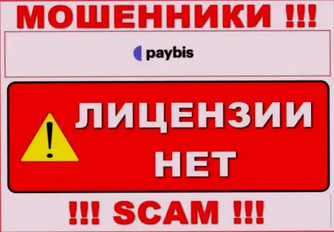 Сведений о лицензии PayBis на их официальном информационном ресурсе не предоставлено - РАЗВОДИЛОВО !!!