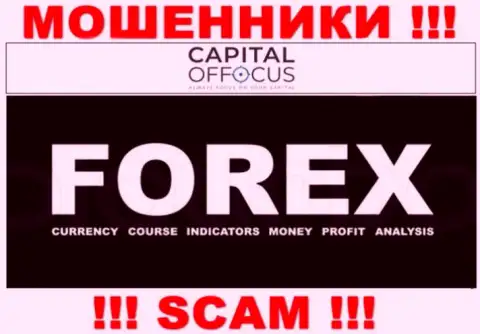 С конторой CapitalOfFocus совместно работать довольно рискованно, их вид деятельности FOREX - это капкан