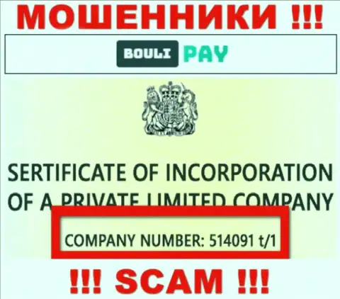 Номер регистрации Bouli Pay возможно и липовый - 514091 t/1