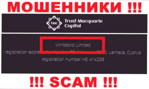 На официальном веб-сервисе Траст М Капитал написано, что этой компанией руководит Whitebird Limited