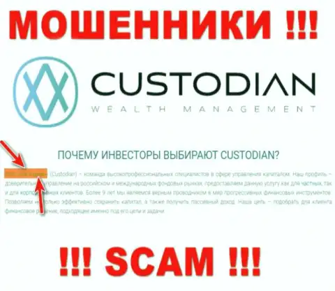 Юридическим лицом, владеющим интернет-кидалами Кастодиан Ру, является ООО Кастодиан