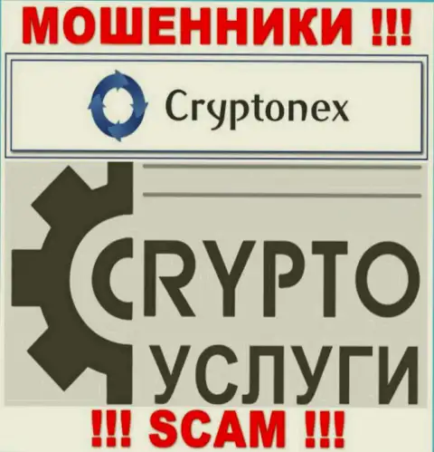 Имея дело с CryptoNex, область работы которых Крипто услуги, рискуете остаться без своих финансовых активов