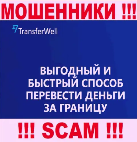 Не верьте, что деятельность Transfer Well в направлении Платежная система законная