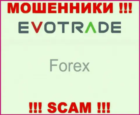 Evo Trade не вызывает доверия, FOREX - это то, чем заняты данные воры