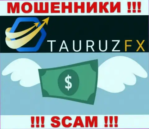 Брокерская организация TauruzFX работает только лишь на ввод денежных вложений, с ними Вы абсолютно ничего не сможете заработать