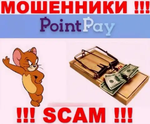 Point Pay LLC - это ВОРЫ, не стоит верить им, если будут предлагать пополнить депо