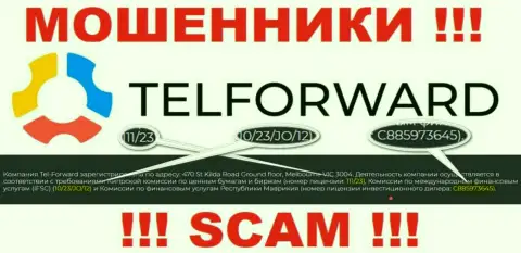 На интернет-сервисе TelForward Net есть лицензионный документ, но это не отменяет их мошенническую суть
