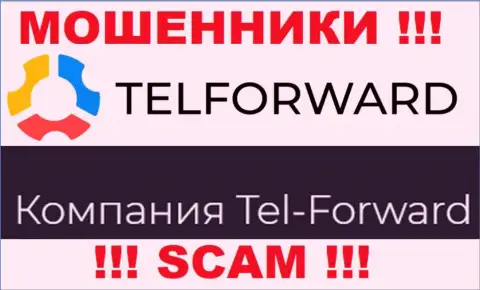 Юридическое лицо Тел-Форвард - это Tel-Forward, такую информацию показали мошенники на своем сайте