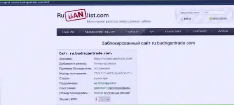Веб-портал BudriganTrade Com в РФ был заблокирован Генеральной прокуратурой