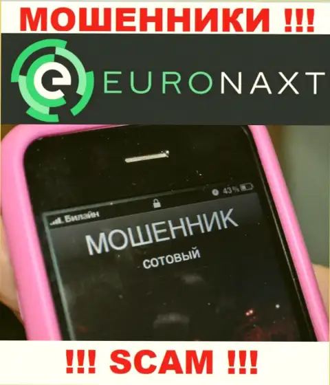 Вас могут раскрутить на деньги, EuroNax в поиске новых доверчивых людей