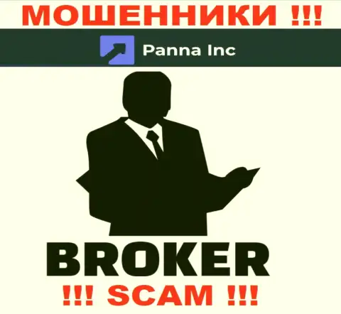 Брокер - конкретно в этом направлении оказывают услуги интернет-мошенники Panna Inc