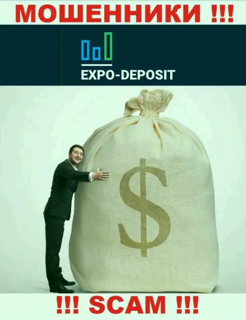 Невозможно вернуть финансовые вложения из конторы Expo Depo Com, исходя из этого ни рубля дополнительно заводить не рекомендуем