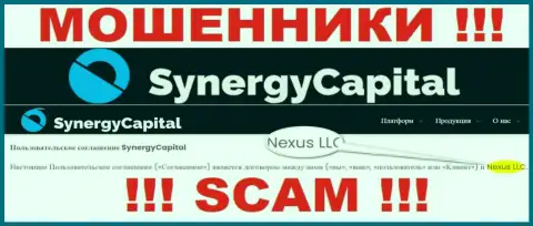 Юридическое лицо, которое владеет internet-мошенниками СинерджиКапитал - это Нексус ЛЛК