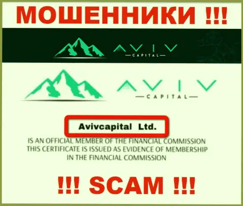 Вот кто управляет компанией Aviv Capitals - это AvivCapital Ltd