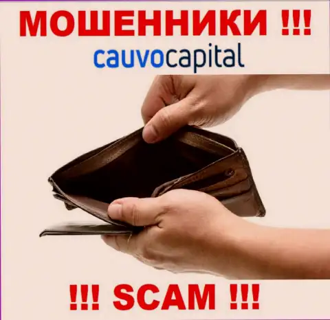 КаувоКапитал - это интернет мошенники, можете потерять все свои финансовые вложения