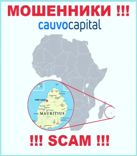 Организация CauvoCapital Com прикарманивает денежные вложения клиентов, расположившись в оффшорной зоне - Mauritius