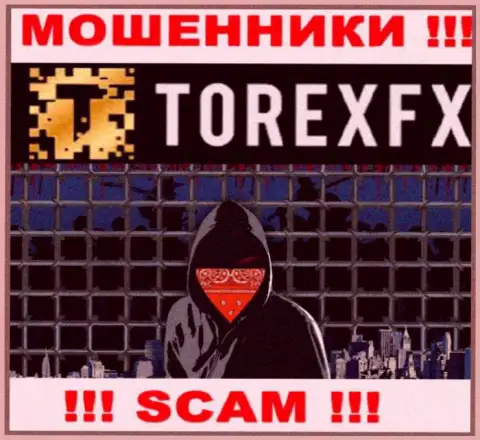 TorexFX не разглашают данные об руководстве компании