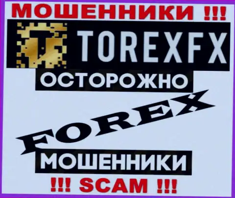 Область деятельности Торекс ФХ: ФОРЕКС - хороший доход для интернет-мошенников