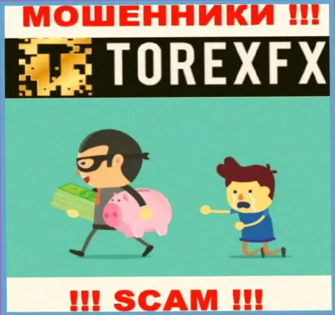 Слишком опасно взаимодействовать с дилинговым центром TorexFX - надувают валютных трейдеров
